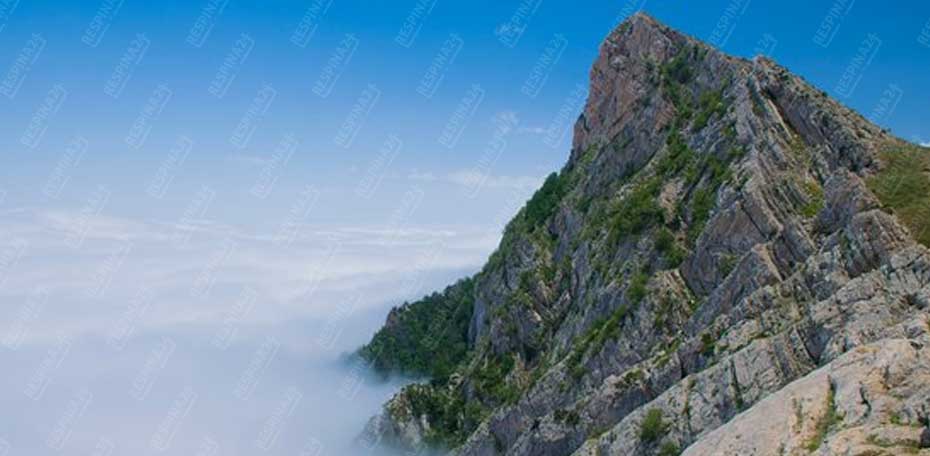 بلیط قطار تربت حیدریه  شاهرود - رسپینا 24